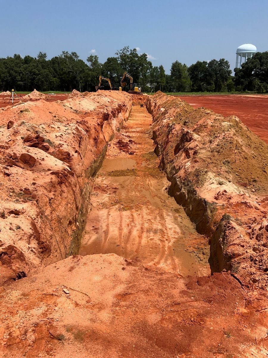 Phase 1 should be completed by Fall 2025.